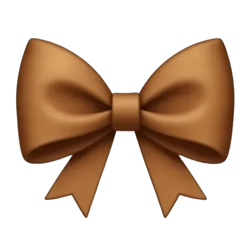 Brown cute bow